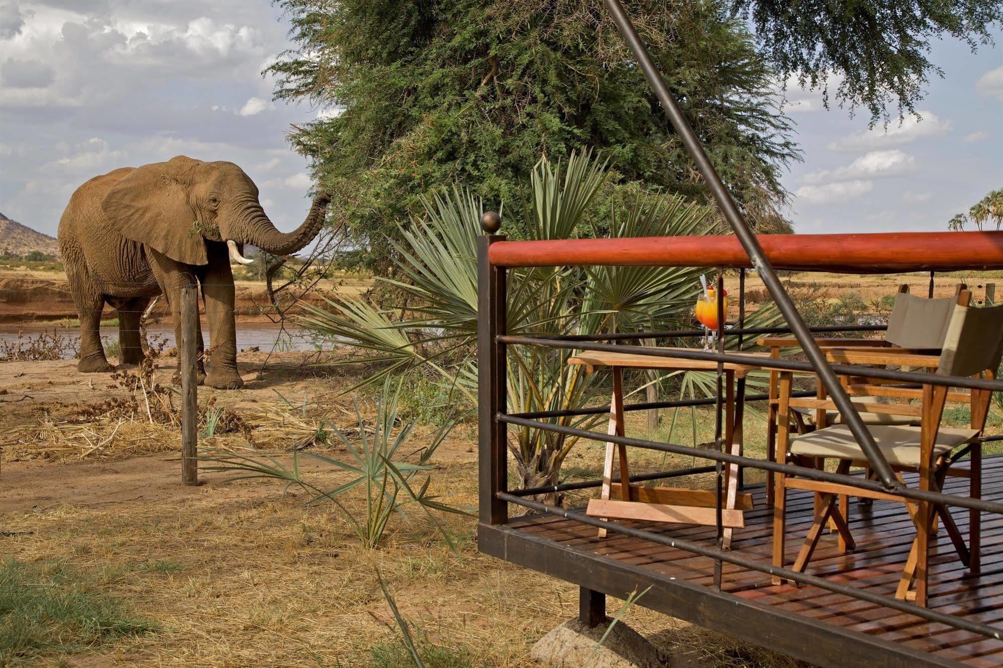 Ashnil Samburu Camp Lodge *